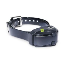 Image of Dogtra YS200 Training Collar, BLISTER, Black YS200 (BLISTER)