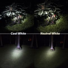 Image of Eagtac D25A2 RC Clicky Flashlight, XP-G2 S3 LED, 436lm,2xAA, Black 1730