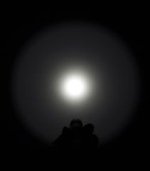 Image of Eagtac D25LC2 Mini  Flashlight, XP-G2 R5 CW LED, 530lm, Black 1726
