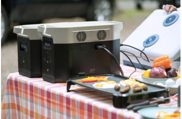 Image of EcoFlow DELTA Max Smart Extra Battery, Black, 50031003