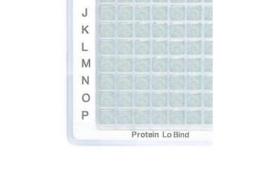 Image of Eppendorf Plate 384w 120-v Protlob Pk320 925000102, Unit PK