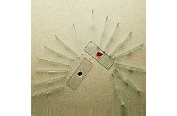 Image of Erie Scientific Micro Slides, Plain, Culture, Single Depression, Erie Scientific 1526