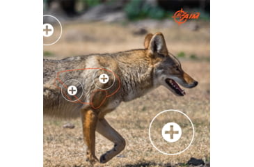 Image of EZ-Aim Allen Paper Four Color Coyote Target, 25X35, 15284
