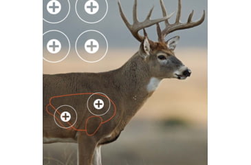 Image of EZ-Aim Splash Non-Adhesive Whitetail Target, Green, 13X24, 15268