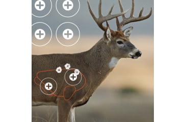 Image of EZ-Aim Splash Non-Adhesive Whitetail Target, Green, 13X24, 15268