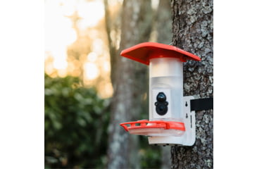 Image of FeatherSnap Hummingbird Gen 1 Camera, Black, FSHB001