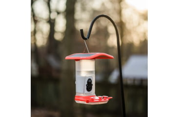Image of FeatherSnap Hummingbird Gen 1 Camera, Black, FSHB001