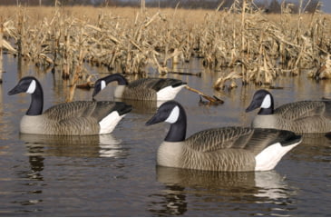 Image of Flambeau Water Pack Canada Goose Decoy