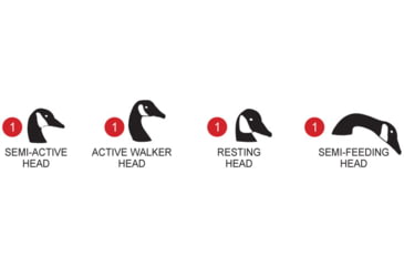 Image of Flambeau Water Pack Canada Goose Decoy