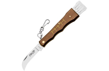 Image of Fox Mushroom Knife, 2.75 mirror finish 420C stainless blade, Olive wood handle, 01FX192