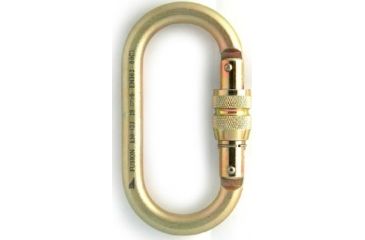 Image of Fusion Ovatti Steel Oval Carabiner, Gold 101919