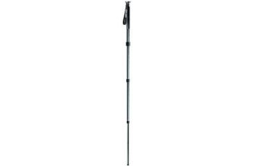 Image of Gitzo Series 2 Carbon 6x Monopod - 4 Section G-lock GM2541