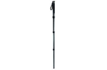 Image of Gitzo Series 5 Carbon 6x Monopod - 4 Section