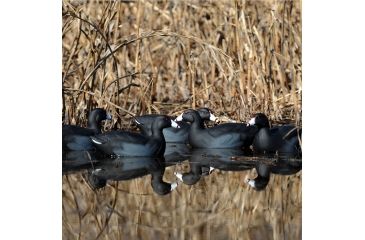 Image of Greenhead Gear Over-Size Duck Decoy,Coots,1/2 Dozen 73014