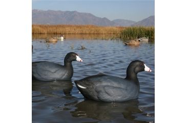Image of Greenhead Gear Over-Size Duck Decoy,Coots,1/2 Dozen 73014