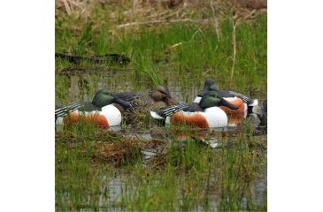 Image of Greenhead Gear Over-Size Duck Decoy,Shovelers,1/2 Dozen 73010