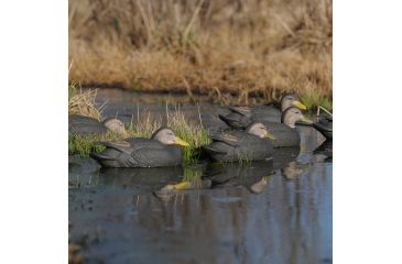 Image of Greenhead Gear Pre-Rigged Pro-Grade Duck Decoy,Black Ducks/Harvester Pack/4-oz Texas Rig,1/2 Dozen 75170