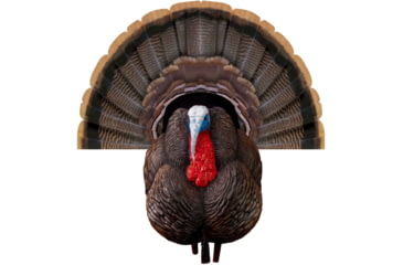 Image of Higdon Outdoors APEX Strutter Hard Body Turkey, Lifesize, 63148