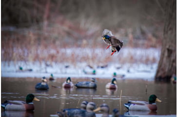 Image of Higdon Outdoors Battleship Oversized Mallards Pack, Flocked Heads, 6 Pack, 16034