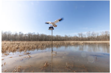 Image of Higdon Outdoors Higdon Motion Clone Water Stand 8C28DB7F