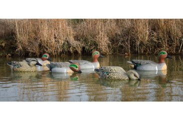 Image of Higdon Outdoors Standard Green Wing Teal Pack, Multi Color, Foam Filled, 6 Pack, 19943