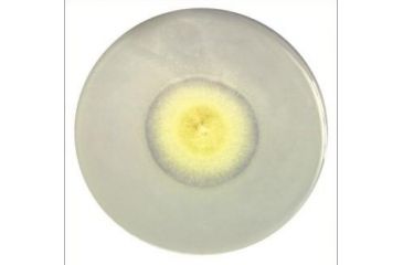 Image of Himedia Laboratories PIKOVSKAYA'S Agar 500GM M520-500G