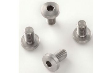 Image of Hogue Grip Screws For Government and Officers Models Hex Head Stainless Steel Package of Four 45019