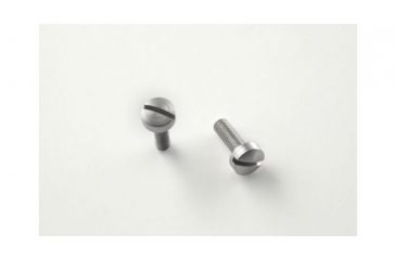 Image of Hogue Hi Power Screws (2) Slotted - Stainless Finish 09018