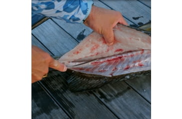 Image of Hogue Fillet Flex 8.25in Fixed Blade Knife