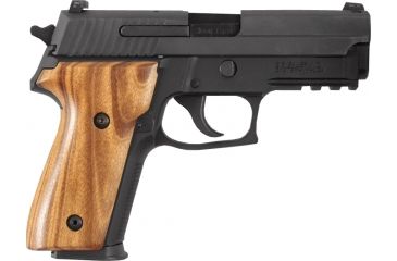 Image of Hogue SIG Sauer P228, P229 Goncalo 28210