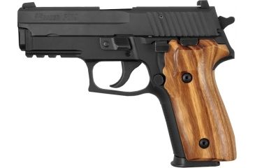 Image of Hogue SIG Sauer P228, P229 Goncalo 28210