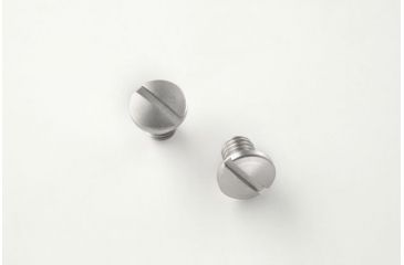 Image of Hogue SIG Sauer P230 Screws (2) Slotted - Stainless Finish 30018