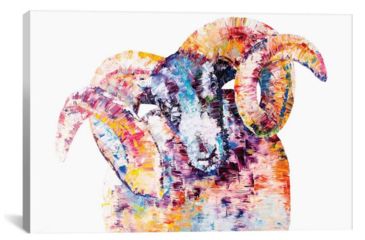 Image of iCanvas Black-Faced Sheep by Becksy Canvas Print, Multi, 12 x 18 BEC2-1PC3-18x12