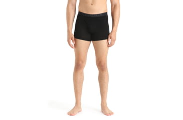Image of Icebreaker 175 Everyday Thermal Boxers w/ Fly - Mens, Black, Small, IB104485001S