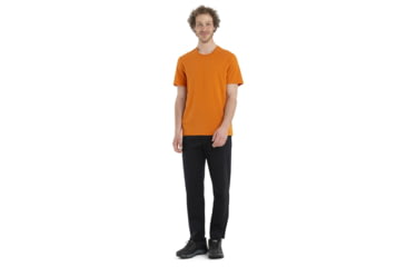 Image of Icebreaker Central Classic Short Sleeve T-Shirt - Men's, Earth, Large, IB0A56JX865L