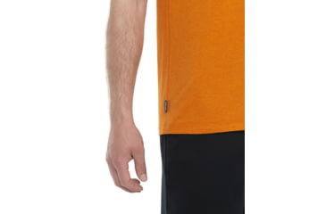 Image of Icebreaker Central Classic Short Sleeve T-Shirt - Mens, Earth, Large, IB0A56JX865L