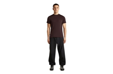 Image of Icebreaker Merino Blend 125 Cool-Lite Sphere Short Sleeve Tee - Mens