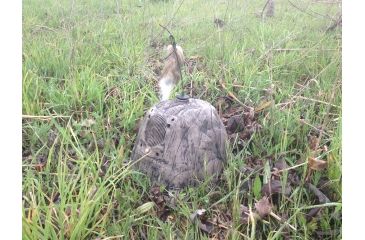 Image of iHunt Predator Call and Decoy, Coyote Decoy - Electronic Predator Call - Predator Call and Decoy - Coyote Call - iHunt, EDIHWAG