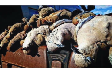 Image of Jebs Choke Tubes Upland and Wing-Shooting Choke for Remington, 20 Gauge, Matte, Close Range, JPCUP-20A2/CR