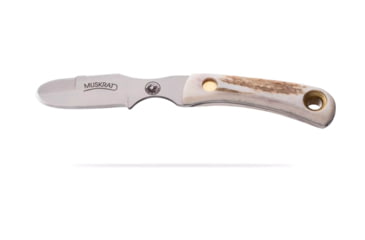 Image of Knives of Alaska Muskrat Fixed Blade Knife, 2.25in, Magnacut Stainless Steel, Round Tip Blade, Stag, White/Brown, 00056FG
