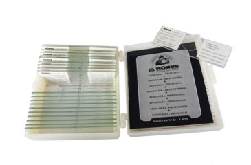 Image of Konus Prepared Slides for Konus Kids Microscopes, Set of 10, Zoology, Protozoa 4979