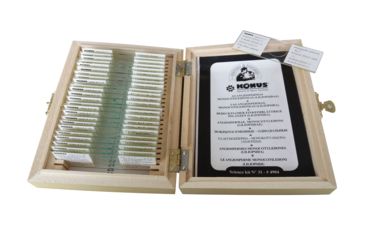 Image of Konus Prepared Slides for Konus Kids Microscopes, Set of 25, Botany, Angiospermae, Monocotyledons, liliopsidae 4984