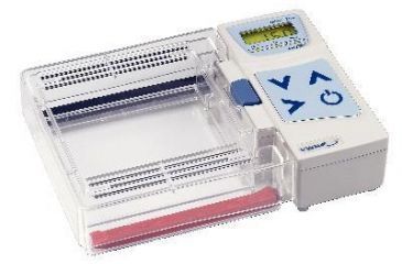Image of Labnet Large gel tray set 12.5 x 12cm pk of 2