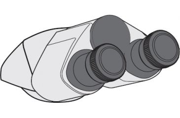 Image of Leica Microsystems Bino Tube for DM100/DM300 13613324