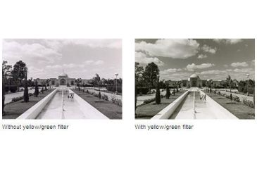 Image of Leica Yellow-Green Filter