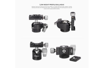 Image of Leofoto LH-25 Mini Ball Head &amp; QR Plate - Arca Compatible, Black, LH-25