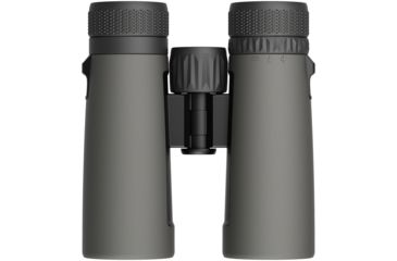 Image of Leupold BX-2 Alpine Binocular, 10x42mm, Roof Prism, Shadow Gray, 176971