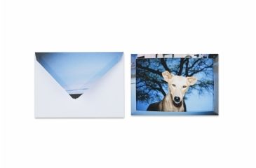 Image of Lomography Journey Frame - Set Small Landscape 233