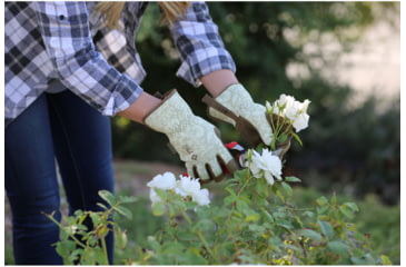 Image of Mechanix Wear Ethel Garden Utility Gloves - Mens, Rendezvous, Large, ETH-RND-530