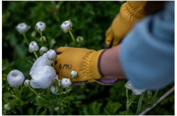 Image of Mechanix Wear Ethel Garden Utility Gloves - Mens, Saffron, Large, ETH-SAF-530